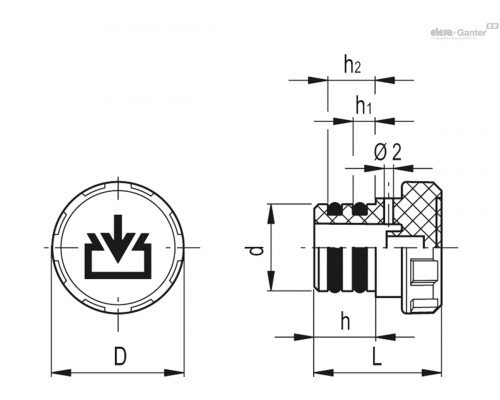 Колпачок TP-CF.20-C9 (59901-R-C9) ELESA+GANTER