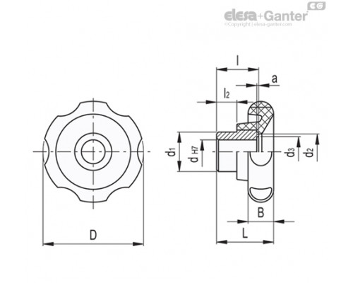 Лепестковая поворотная ручка VL.140/100 FP-A-16 (74514) ELESA+GANTER